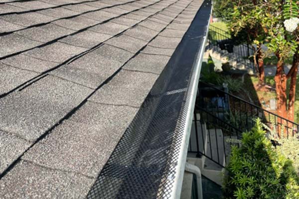 Gutter Guard